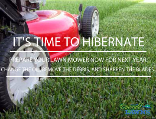 Prepping Mower and Tools for Winter