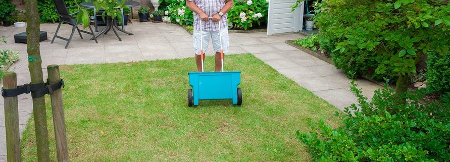 Emerald Lawns Austin