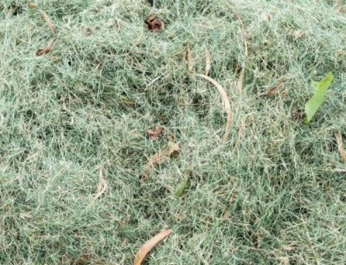 Lawn Mulching For A Healthier Lawn