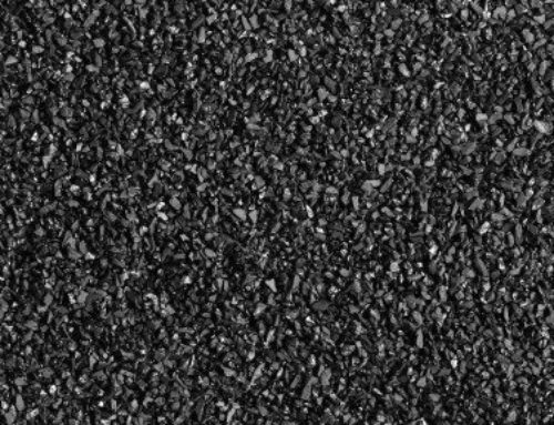 Why is Soil Carbon Important in Your Lawn?