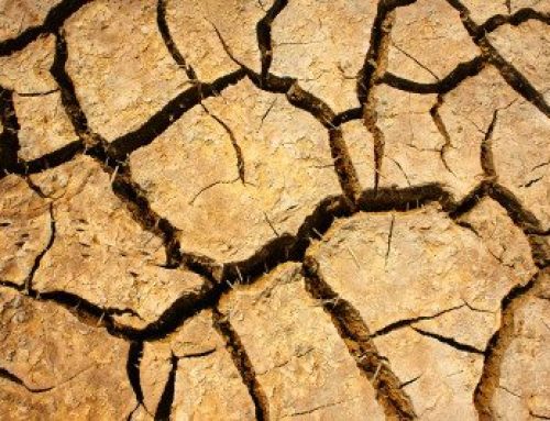 Cycle and Soak Watering Method