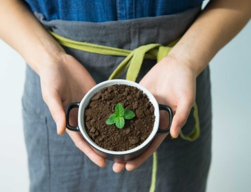 What are the components of healthy soil?