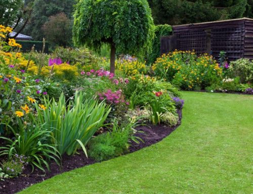 Functional and Decorative Landscape Mulching